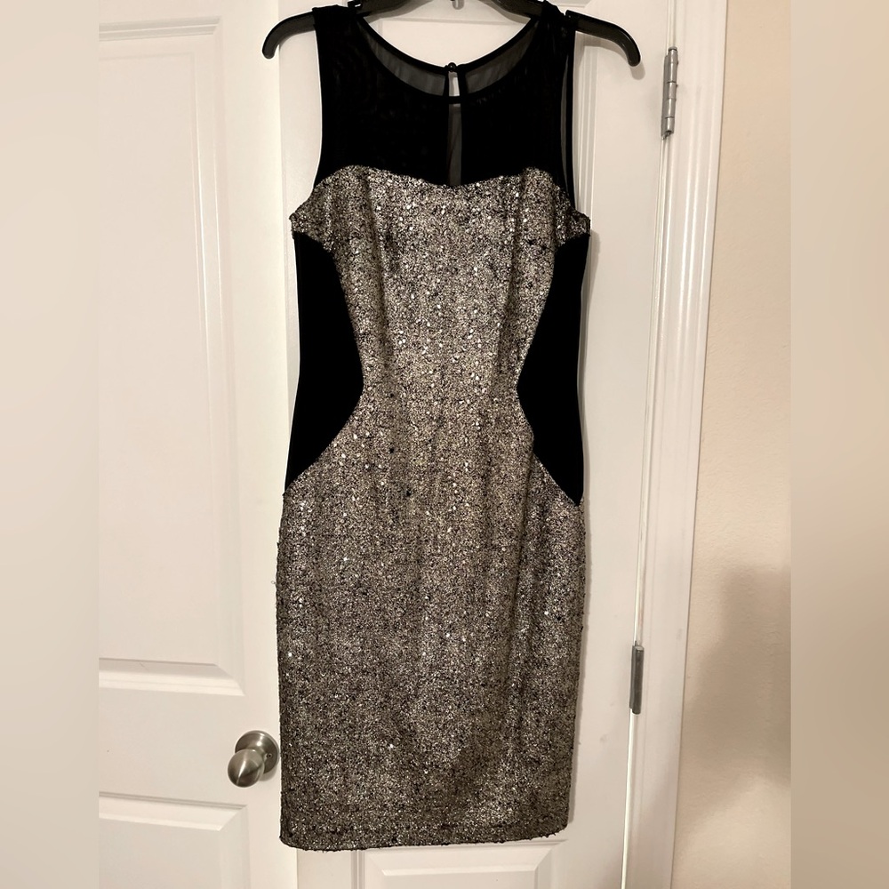 NWT! Frank Lyman Silver and black dress Size 10